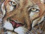 motovýšivka PUMA detail