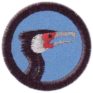 Kormoran