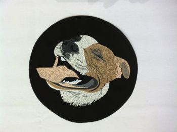 Stafordšírský teriér - pitbull