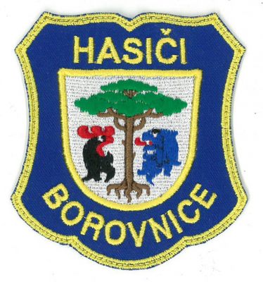 Hasiči Borovnice